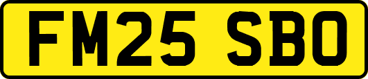 FM25SBO