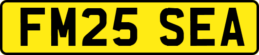 FM25SEA