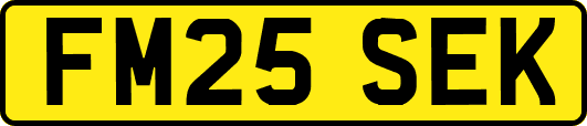 FM25SEK