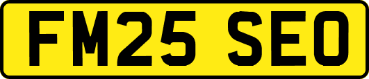 FM25SEO