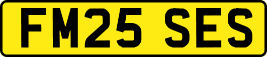 FM25SES