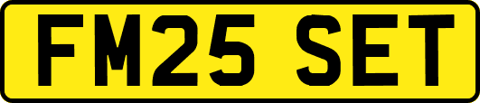 FM25SET