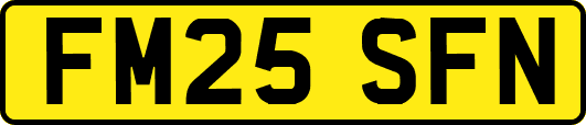 FM25SFN