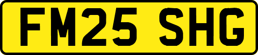 FM25SHG