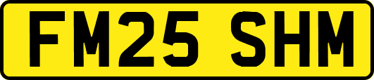 FM25SHM