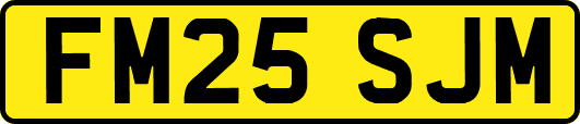 FM25SJM