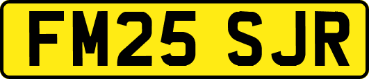 FM25SJR