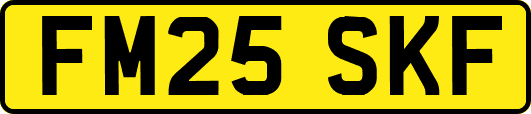 FM25SKF