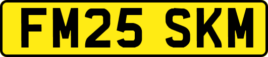 FM25SKM