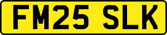 FM25SLK