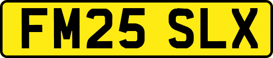 FM25SLX
