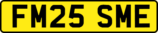 FM25SME