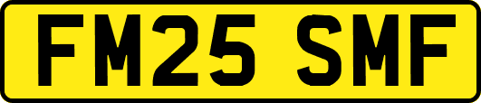 FM25SMF