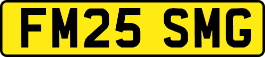 FM25SMG