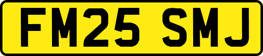 FM25SMJ