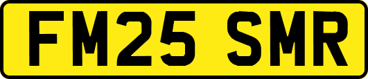 FM25SMR
