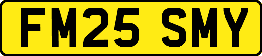 FM25SMY