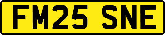 FM25SNE