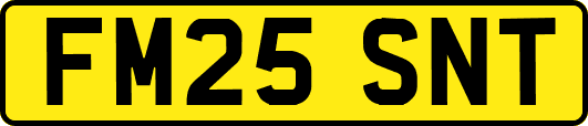FM25SNT