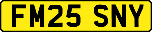 FM25SNY