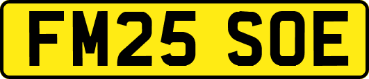 FM25SOE