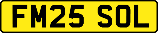 FM25SOL