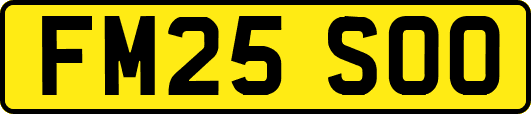 FM25SOO