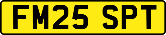 FM25SPT