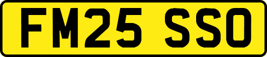 FM25SSO