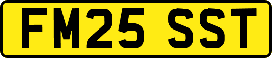 FM25SST