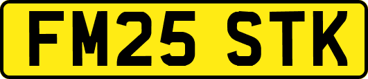 FM25STK