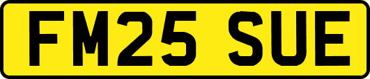 FM25SUE