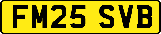 FM25SVB