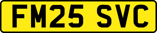 FM25SVC