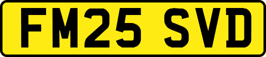 FM25SVD