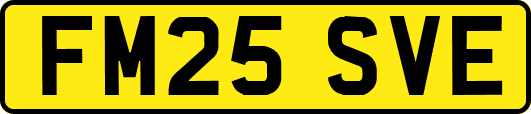 FM25SVE