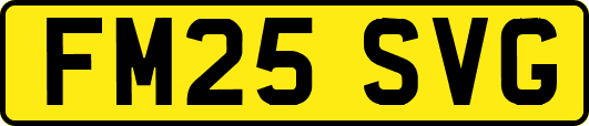 FM25SVG