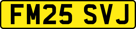 FM25SVJ