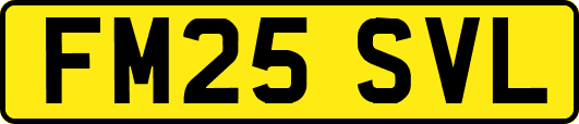 FM25SVL