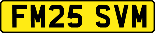 FM25SVM
