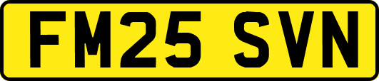 FM25SVN