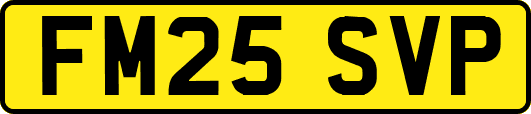 FM25SVP