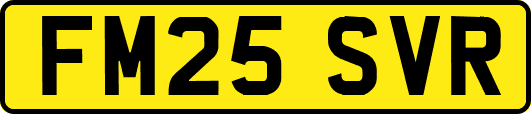 FM25SVR