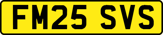 FM25SVS