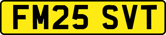 FM25SVT