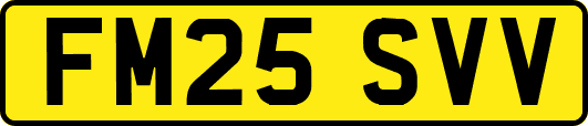 FM25SVV