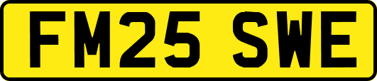 FM25SWE