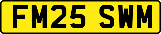 FM25SWM