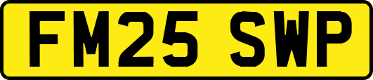 FM25SWP