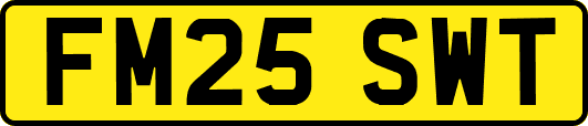 FM25SWT